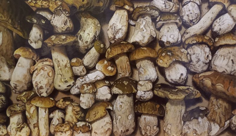 Nel regno dei funghi: nuova buttata, 42x28x4 cm, acrilico, trementina veneta, flexoid, vernice mastice, legno, 2022